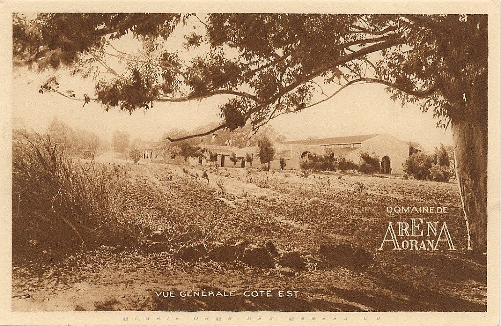 312- domaine Arena,2.JPG